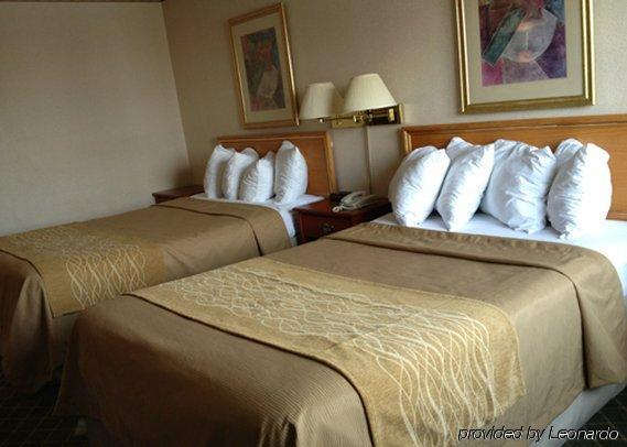 Comfort Inn Meadowvale มิสซิสซอกา ห้อง รูปภาพ