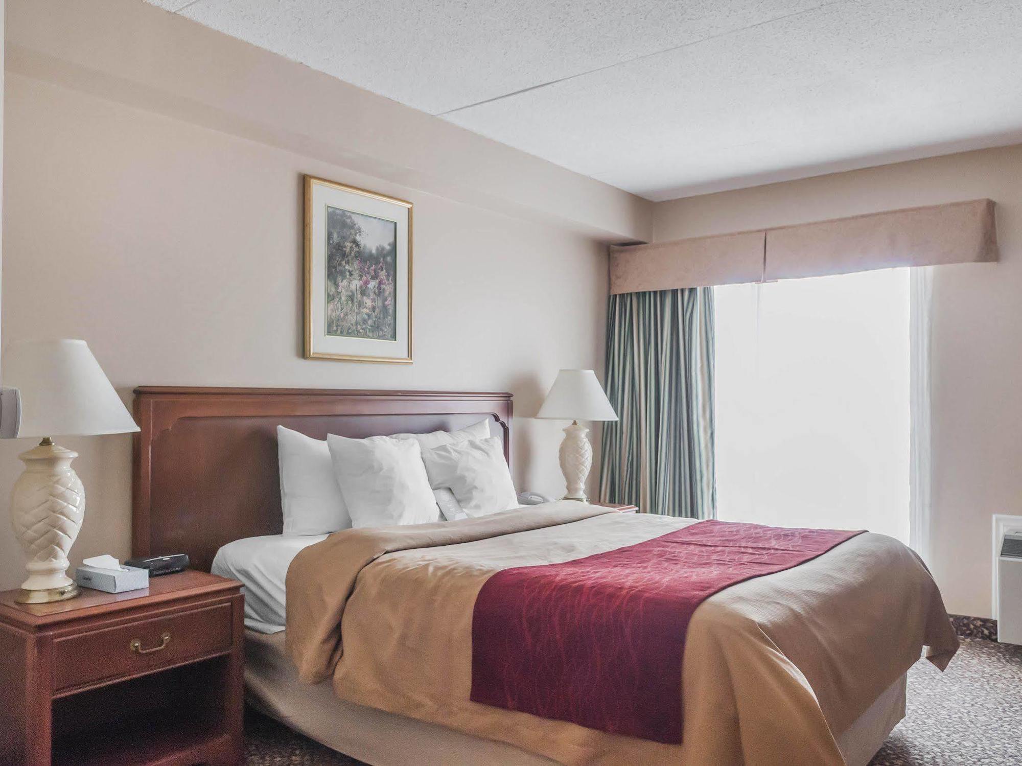 Comfort Inn Meadowvale มิสซิสซอกา ภายนอก รูปภาพ